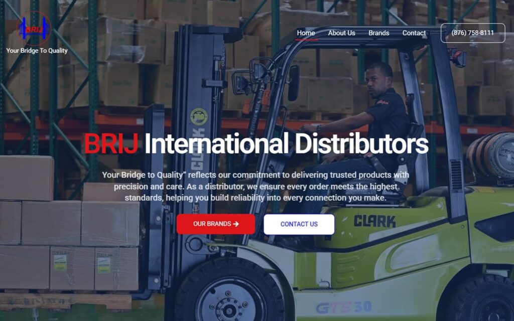 yourbrij website screenshot (1)